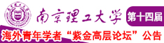 美女和我在c南京理工大学第十四届海外青年学者紫金论坛诚邀海内外英才！